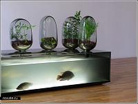     
: plant_aquarium1.jpg
: 318
:	38.1 
ID:	116948