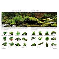     
: dennerle-aquarium-plant-guide_02.jpg
: 414
:	124.6 
ID:	587617