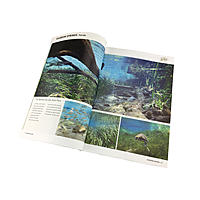     
: dennerle-aquarium-plant-guide_06.jpg
: 365
:	550.8 
ID:	587620