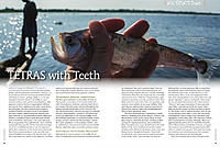     
: 48_47-Tetras-with-Teeth_lg.jpg
: 223
:	135.1 
ID:	595450