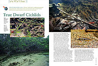     
: 64_65-Reportage-Cichlids_lg.jpg
: 212
:	193.6 
ID:	595452