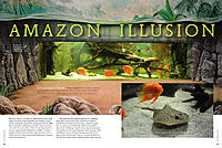     
: 84_85-Reportage-Amazon-Illusion_lg.jpg
: 204
:	182.0 
ID:	595455