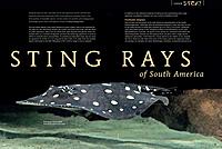     
: 32_33-Rays-2.jpg
: 231
:	29.4 
ID:	595461