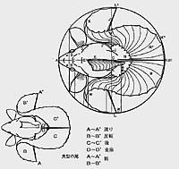     
: 13645156_1571651319804259_2578549150690574200_n.jpg
: 176
:	50.1 
ID:	645823