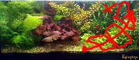     
: Eglantinas tank 07_08.jpg
: 278
:	174.3 
ID:	176652