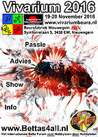     
: Bettas4all@Vivarium2016-PosterSmall.jpg
: 208
:	540.7 
ID:	580217