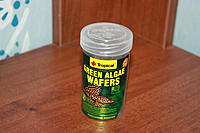     
: Tropical Green Algae Wafers 100 ml_30.jpg
: 388
:	85.6 
ID:	503582