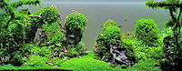     
: Landscape miniature.jpg
: 1910
:	677.8 
ID:	668992