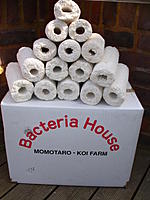     
: bacteria-house-media.jpg
: 197
:	135.8 
ID:	397125