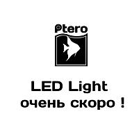     
: led.jpg
: 280
:	21.6 
ID:	471435