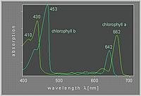     
: Chlorophyll-AB.jpg
: 517
:	19.5 
ID:	593969