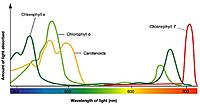     
: Chlorophyll-spectrum1.jpg
: 325
:	25.9 
ID:	399354