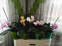     
: IMG_20200417_120853.jpg
: 189
:	454.2 
ID:	671952