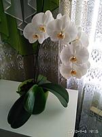     
: IMG_20200908_191530.jpg
: 259
:	347.8 
ID:	677648