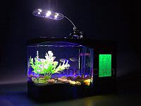     
: usb-aquarium_1-450x337.jpg
: 946
:	34.3 
ID:	211381