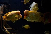     
: 20131207-IMG_3915.jpg
: 521
:	38.5 
ID:	395347