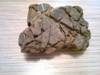 2014-09-05-465.jpg