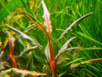DSCN1330.JPG