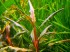 DSCN1330.JPG