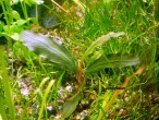 DSCN1469.JPG