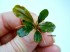 DSCN2231.JPG