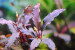 DSC_0006.JPG