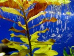 IMG_5576.JPG