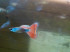 copy_207_IMG_20140308_1423431.jpg