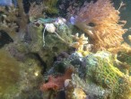 copy_22_IMG_2537.jpg