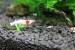 copy_804_IMG_6801.jpg
