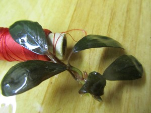 Изображение 1494.jpg