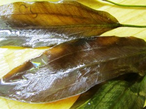 Изображение 1591.jpg