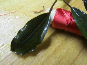 Изображение 1598.jpg