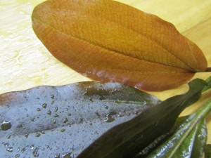 Изображение 1612.jpg