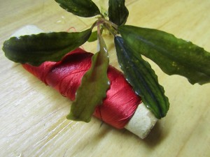 Изображение 1633.jpg