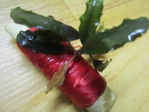 Изображение 1634.jpg