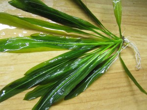 Изображение 1675.jpg