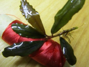 Изображение 1690.jpg