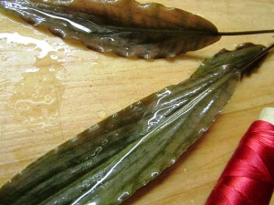 Изображение 1697.jpg