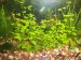 100_3621.JPG