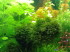 2014-07-03 18.24.49.jpg