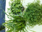 20140205_134701.jpg