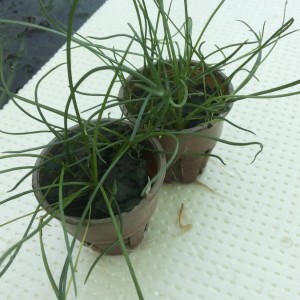 20141027_152538.jpg