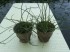 20141027_152557.jpg