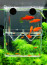 Aquarium-hanging-multifunctional-isolation-breeding-font-b-guppies-b-font-font-b-fish-b-font-Betta.jpg