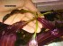 DSC00904(!).JPG