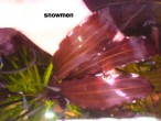 DSC00910(!).JPG