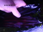 DSC00921(!).JPG