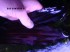 DSC00921(!).JPG