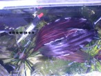DSC00922(!).JPG